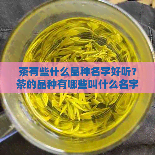 茶有些什么品种名字好听？茶的品种有哪些叫什么名字？