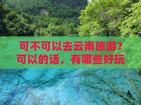 可不可以去云南旅游？可以的话，有哪些好玩的景点推荐？