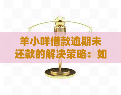 羊小咩借款逾期未还款的解决策略：如何进行协商处理