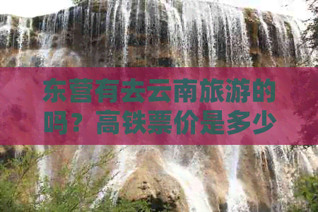 东营有去云南旅游的吗？高铁票价是多少？