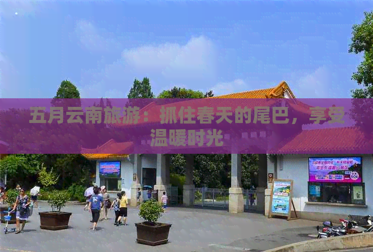 五月云南旅游：抓住春天的尾巴，享受温暖时光