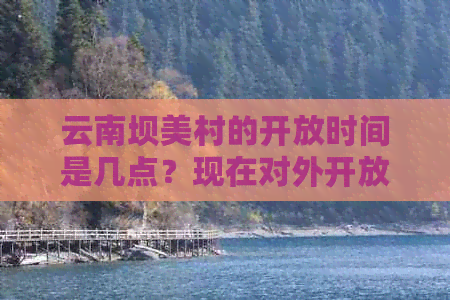 云南坝美村的开放时间是几点？现在对外开放了吗？