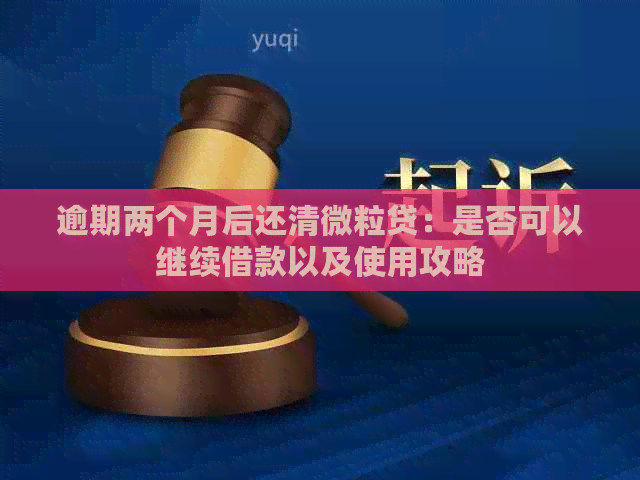 逾期两个月后还清微粒贷：是否可以继续借款以及使用攻略