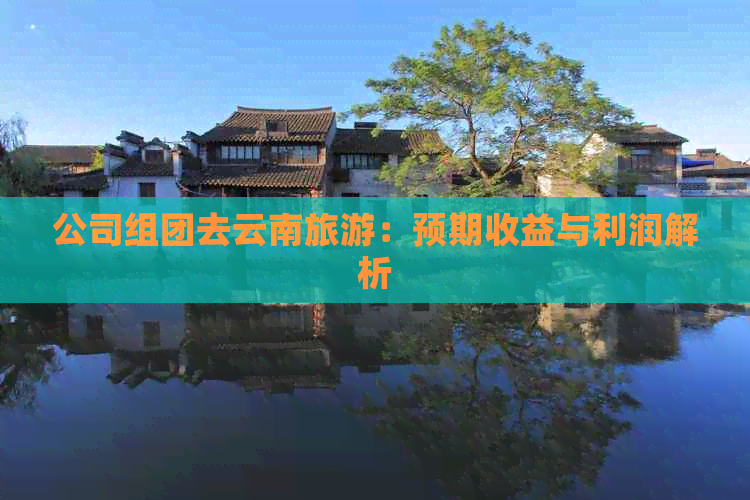 公司组团去云南旅游：预期收益与利润解析