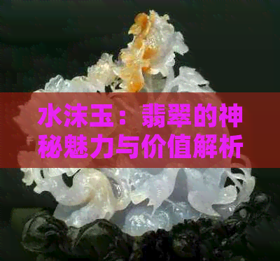 水沫玉：翡翠的神秘魅力与价值解析