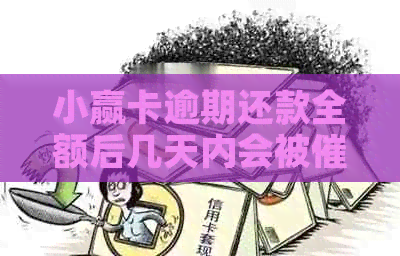 小赢卡逾期还款全额后几天内会被？如何应对逾期还款问题？