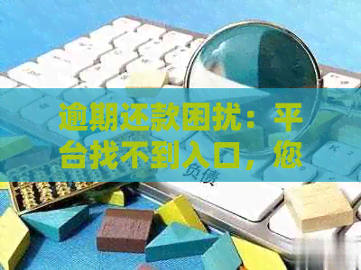 逾期还款困扰：平台找不到入口，您该如何应对？