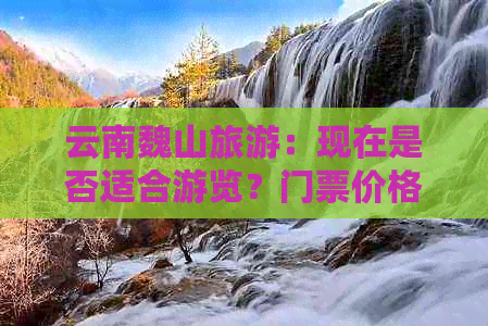 云南魏山旅游：现在是否适合游览？门票价格及游玩攻略大揭秘！