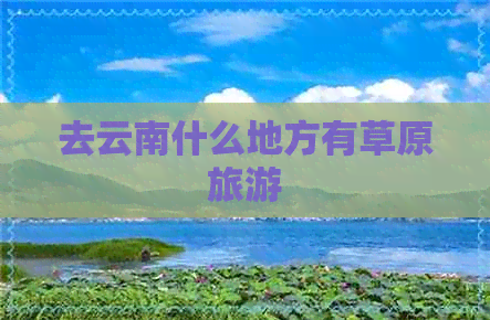 去云南什么地方有草原旅游