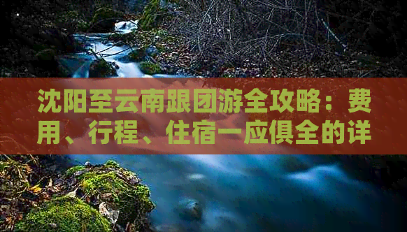 沈阳至云南跟团游全攻略：费用、行程、住宿一应俱全的详尽报价及相关信息