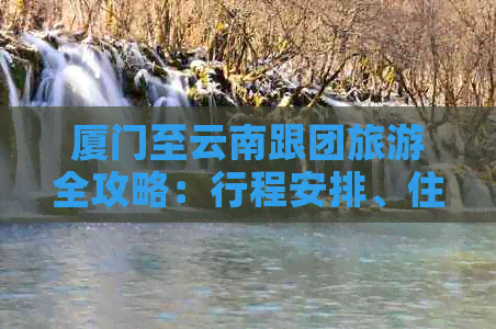 厦门至云南跟团旅游全攻略：行程安排、住宿、交通、景点推荐等一应俱全