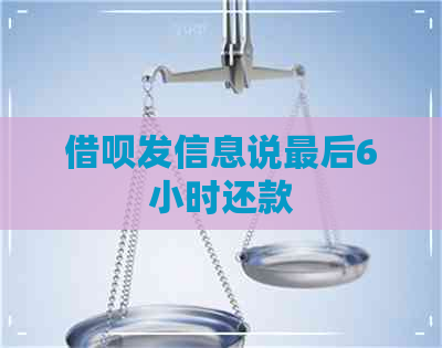 借呗发信息说最后6小时还款