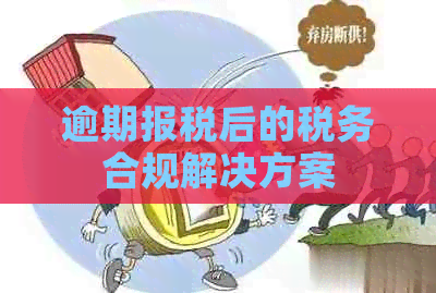 逾期报税后的税务合规解决方案