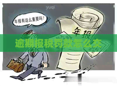 逾期报税罚款怎么交