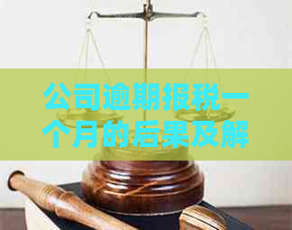 公司逾期报税一个月的后果及解决办法：全面了解税务问题和应对策略