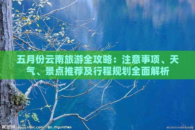 五月份云南旅游全攻略：注意事项、天气、景点推荐及行程规划全面解析