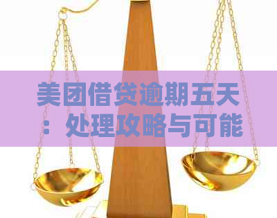 美团借贷逾期五天：处理攻略与可能后果