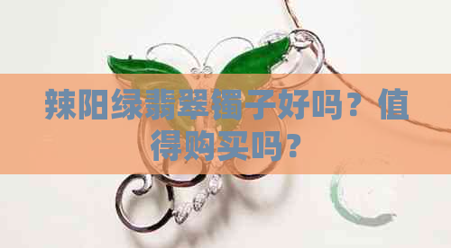 辣阳绿翡翠镯子好吗？值得购买吗？