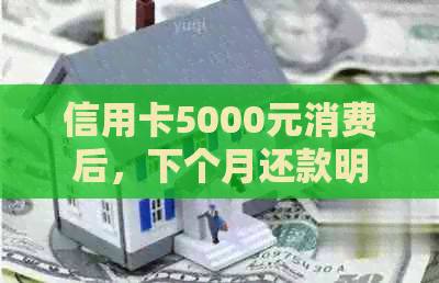 信用卡5000元消费后，下个月还款明细及还款计划详解