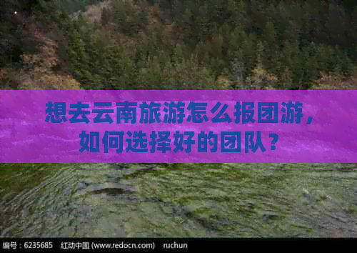 想去云南旅游怎么报团游，如何选择好的团队？