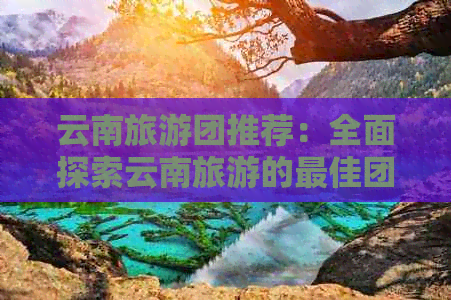 云南旅游团推荐：全面探索云南旅游的更佳团队与行程，解答您的所有疑问