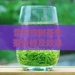 昔归古树茶生茶价格及效果：了解昔归古树生茶的功效与适宜人群。