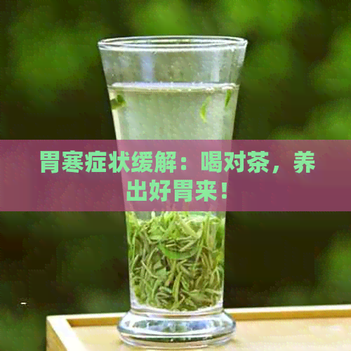 胃寒症状缓解：喝对茶，养出好胃来！