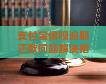 支付宝借呗逾期还款问题解决指南：自动扣款与逾期处理全解析