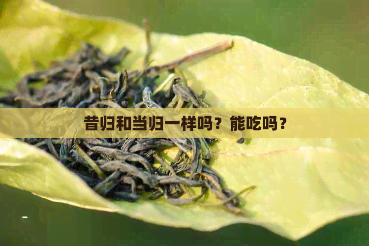 昔归和当归一样吗？能吃吗？