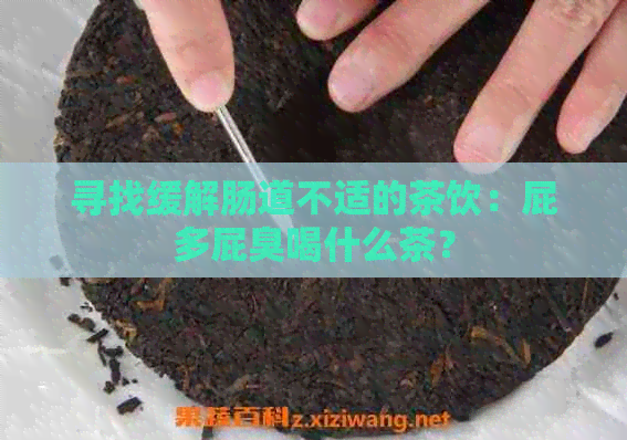 寻找缓解肠道不适的茶饮：屁多屁臭喝什么茶？