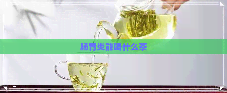 肠胃炎能喝什么茶