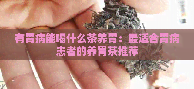 有胃病能喝什么茶养胃：最适合胃病患者的养胃茶推荐