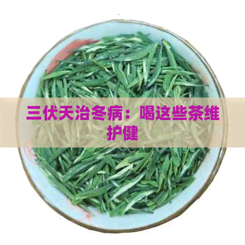 三伏天治冬病：喝这些茶维护健