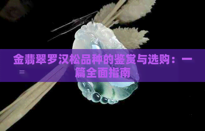 金翡翠罗汉松品种的鉴赏与选购：一篇全面指南