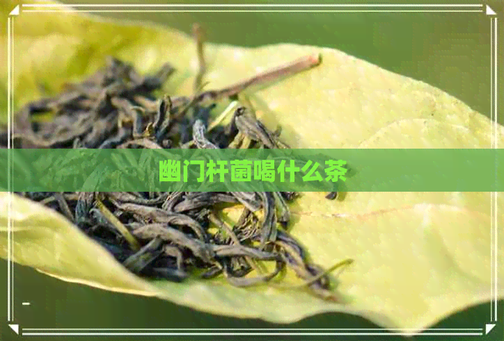 幽门杆菌喝什么茶