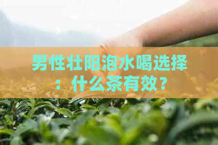 男性壮阳泡水喝选择：什么茶有效？