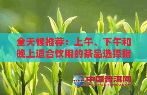 全天候推荐：上午、下午和晚上适合饮用的茶品选择指南