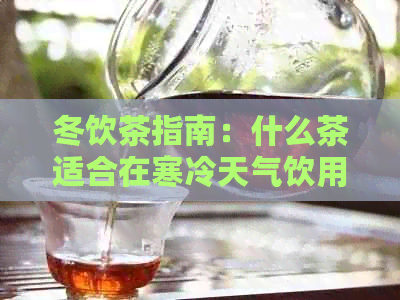 冬饮茶指南：什么茶适合在寒冷天气饮用？了解各种茶的特性和功效