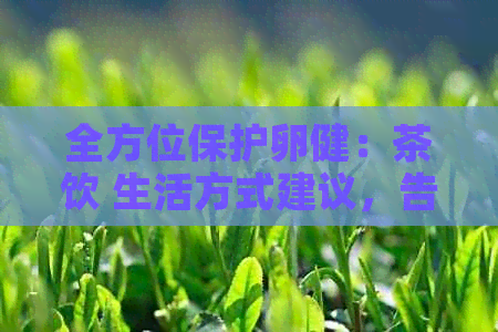 全方位保护卵健：茶饮 生活方式建议，告别卵问题