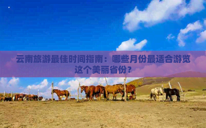 云南旅游更佳时间指南：哪些月份最适合游览这个美丽省份？