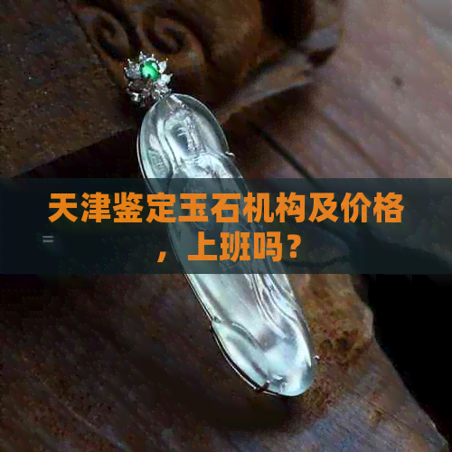 天津鉴定玉石机构及价格，上班吗？