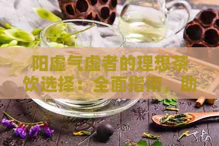 阳虚气虚者的理想茶饮选择：全面指南，助你恢复活力与健