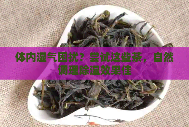 体内湿气困扰？尝试这些茶，自然调理除湿效果佳