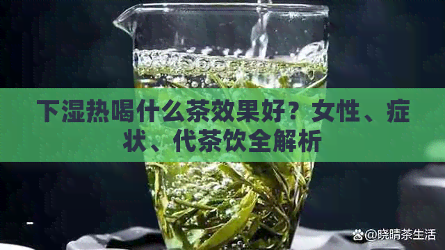 下湿热喝什么茶效果好？女性、症状、代茶饮全解析