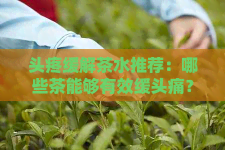 头疼缓解茶水推荐：哪些茶能够有效缓头痛？如何选择适合的茶叶品种？