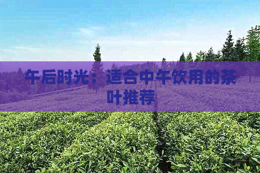 午后时光：适合中午饮用的茶叶推荐