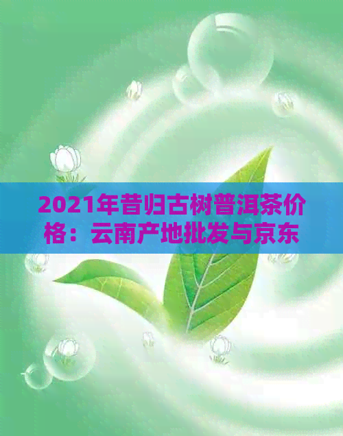 2021年昔归古树普洱茶价格：云南产地批发与京东、阿里的优质生茶选择