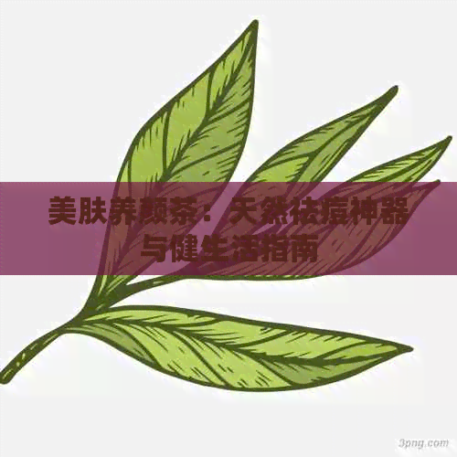 美肤养颜茶：天然祛痘神器与健生活指南