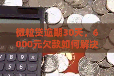 微粒贷逾期30天，6000元欠款如何解决？可能的解决方案和影响全解析