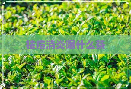 祛痘消炎喝什么茶